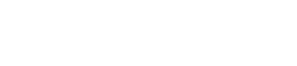 Ritzenthaler IT